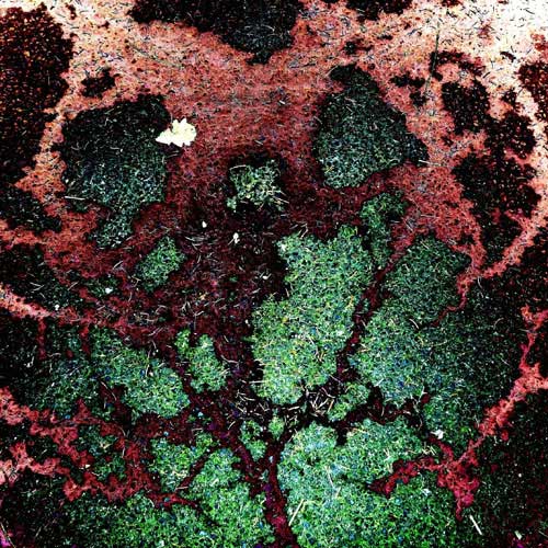 Elmar Diks-Contemporary-Digital-Photo-Art-1-Pyro_c